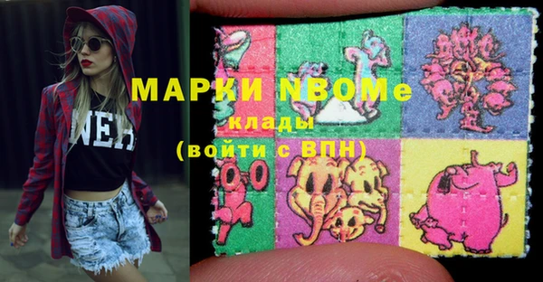 стаф Покачи
