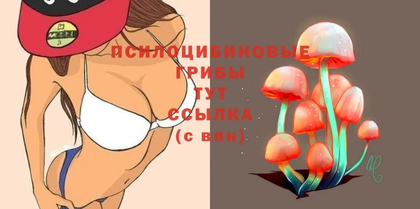 трава Армянск