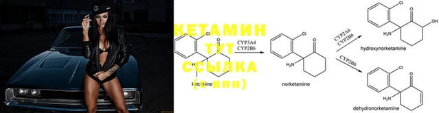 стаф Покачи