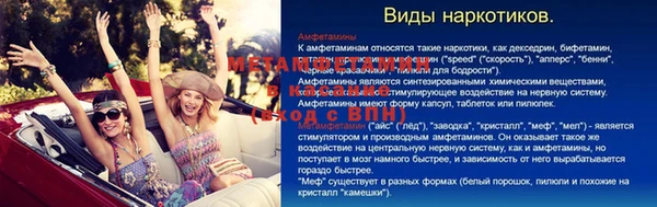 прущие грибы Корсаков