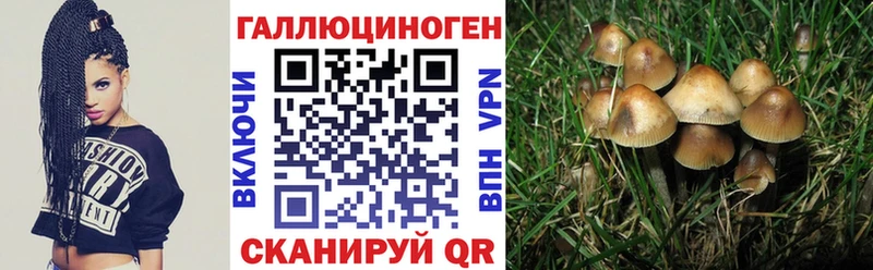 как найти закладки  Козьмодемьянск  Псилоцибиновые грибы Cubensis 